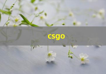 csgo