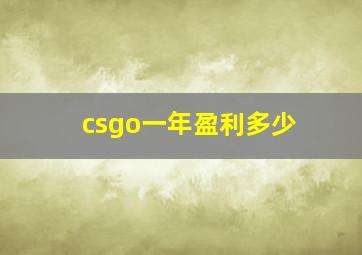 csgo一年盈利多少