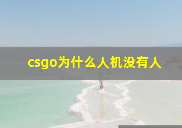 csgo为什么人机没有人