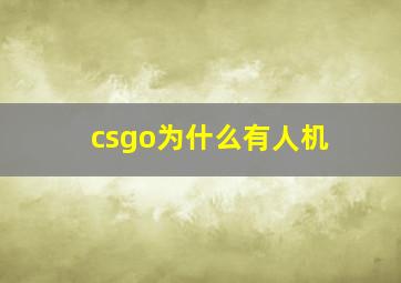 csgo为什么有人机