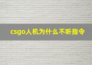 csgo人机为什么不听指令