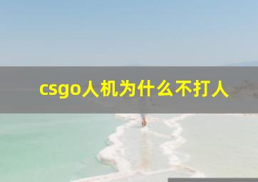 csgo人机为什么不打人