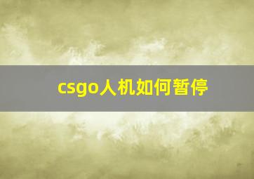 csgo人机如何暂停