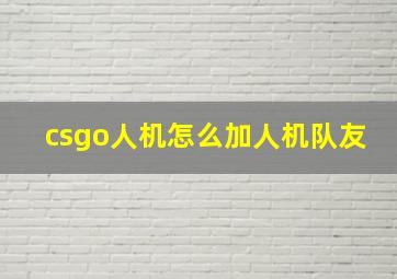 csgo人机怎么加人机队友