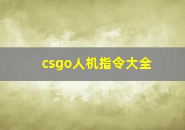 csgo人机指令大全