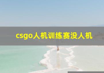 csgo人机训练赛没人机