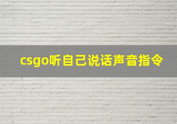 csgo听自己说话声音指令