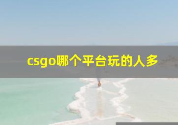 csgo哪个平台玩的人多