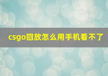 csgo回放怎么用手机看不了