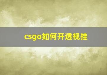 csgo如何开透视挂