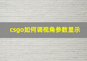 csgo如何调视角参数显示