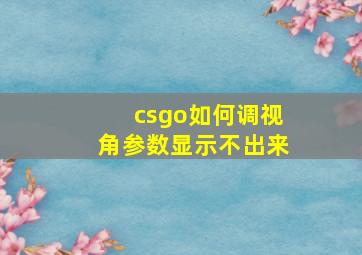 csgo如何调视角参数显示不出来