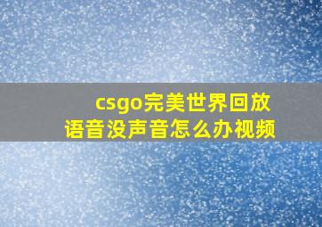 csgo完美世界回放语音没声音怎么办视频