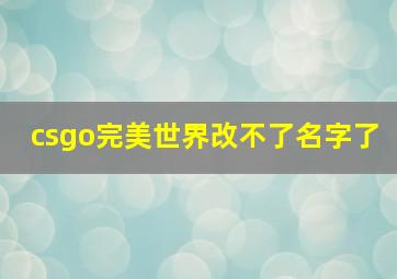 csgo完美世界改不了名字了