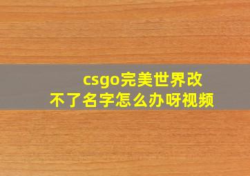 csgo完美世界改不了名字怎么办呀视频