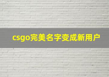 csgo完美名字变成新用户