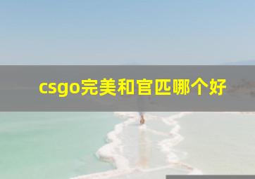 csgo完美和官匹哪个好