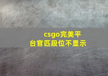 csgo完美平台官匹段位不显示