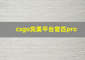 csgo完美平台官匹pro