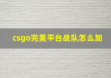 csgo完美平台战队怎么加