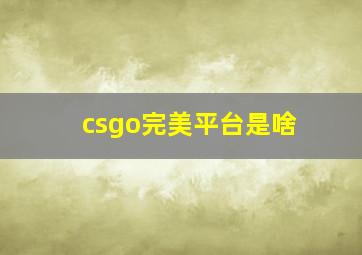 csgo完美平台是啥