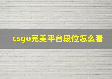 csgo完美平台段位怎么看