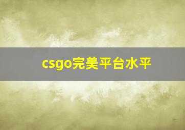 csgo完美平台水平