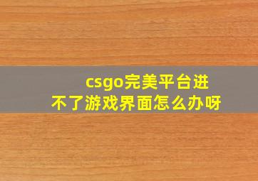 csgo完美平台进不了游戏界面怎么办呀