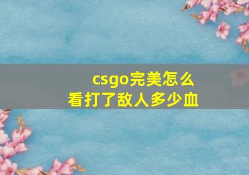 csgo完美怎么看打了敌人多少血