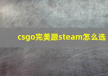 csgo完美跟steam怎么选