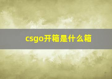 csgo开箱是什么箱