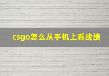 csgo怎么从手机上看战绩