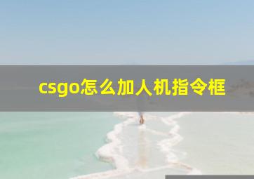 csgo怎么加人机指令框