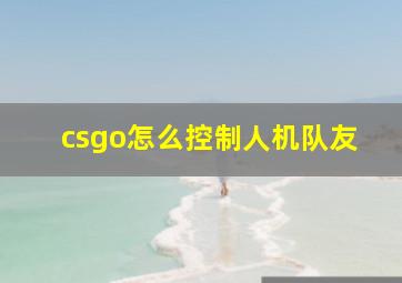 csgo怎么控制人机队友