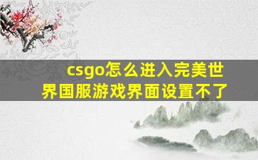 csgo怎么进入完美世界国服游戏界面设置不了