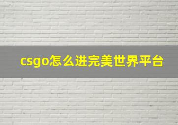 csgo怎么进完美世界平台