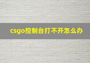 csgo控制台打不开怎么办