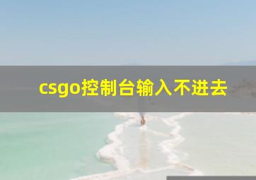 csgo控制台输入不进去