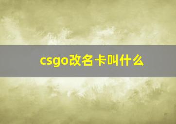 csgo改名卡叫什么