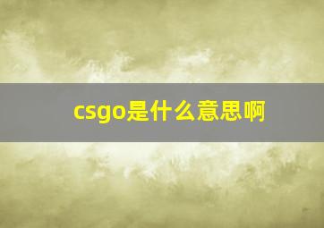 csgo是什么意思啊