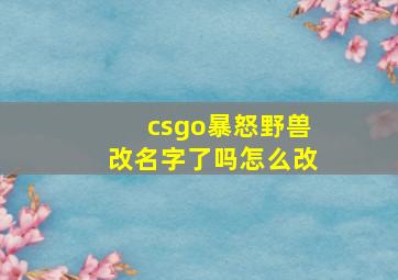 csgo暴怒野兽改名字了吗怎么改