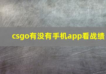 csgo有没有手机app看战绩