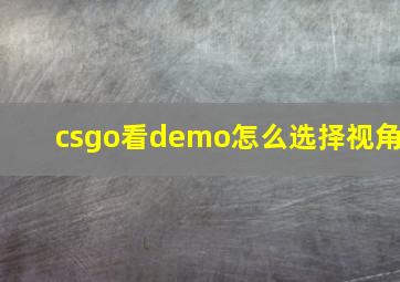 csgo看demo怎么选择视角