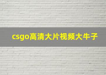 csgo高清大片视频大牛子