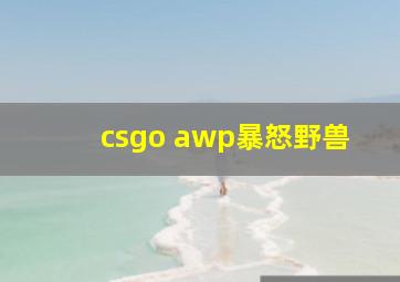 csgo awp暴怒野兽