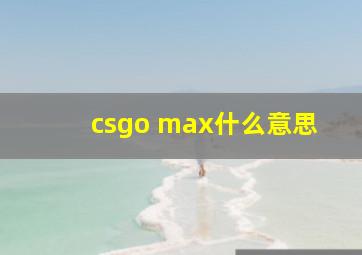 csgo max什么意思