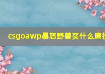 csgoawp暴怒野兽买什么磨损