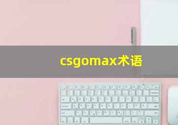 csgomax术语