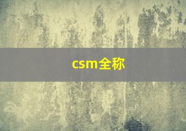 csm全称