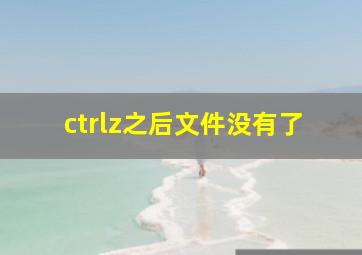 ctrlz之后文件没有了